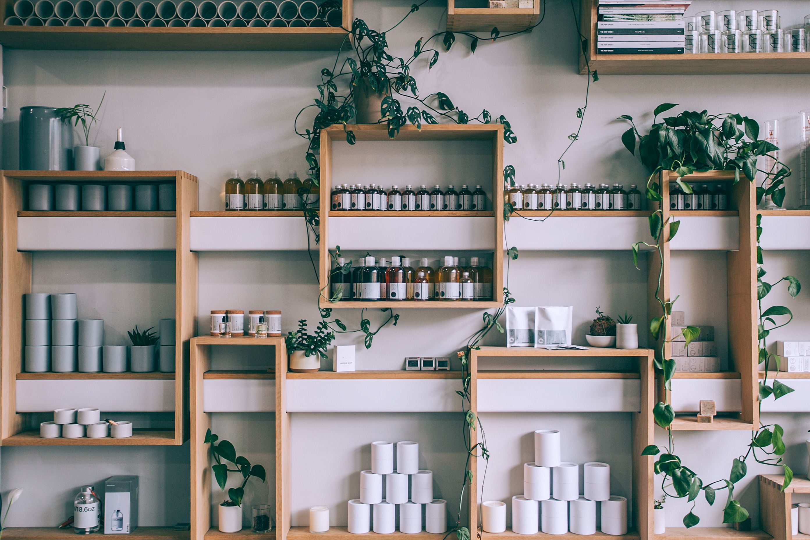Independent product shop interior with shelves and plants